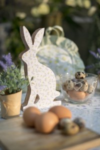 Zając PETIT FLEUR I