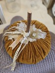 Dynia welurowa musztardowa M